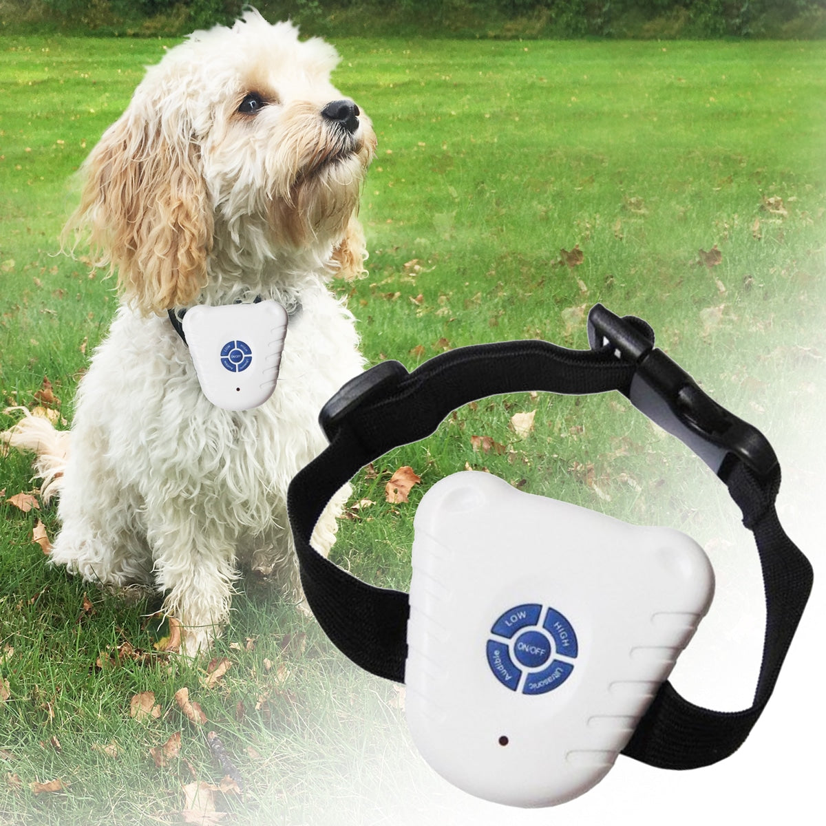Collier anti aboiements | MuteDog™