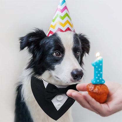 Collier Bandana Chien design nœud papillon anniversaire chien mignon