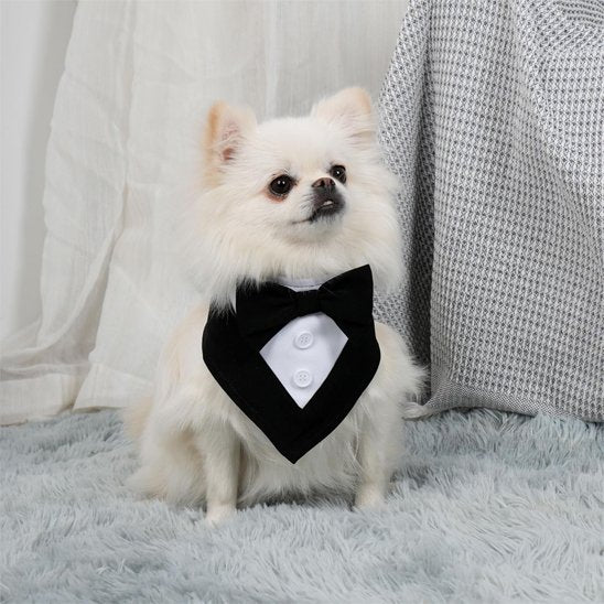 Collier Bandana Chien design nœud papillon noir blanc chiwawa mignon
