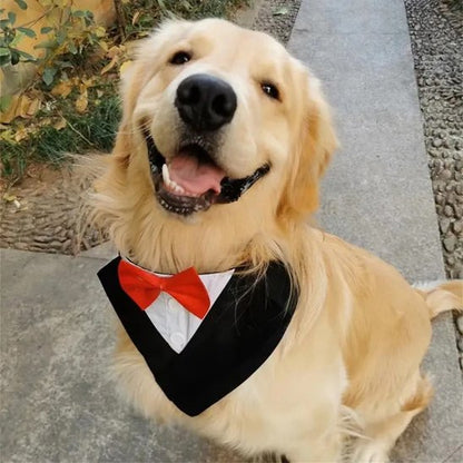 Collier Bandana Chien design nœud papillon rouge labrador mignon