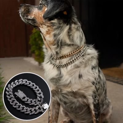 collier-chaine-pour-chien-argent