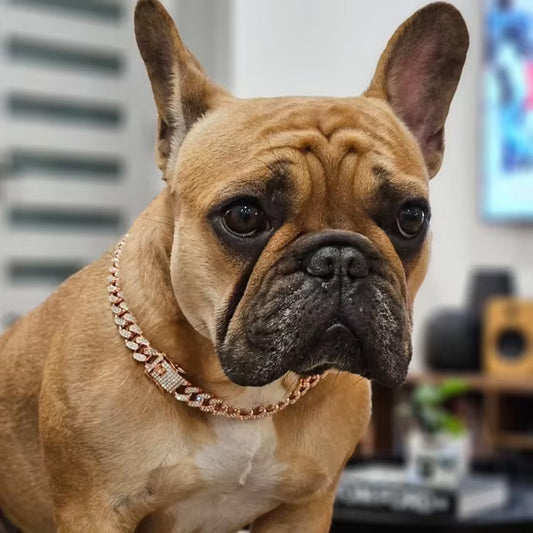 collier-chaine-pour-chien-glamour-rose-bobbychic