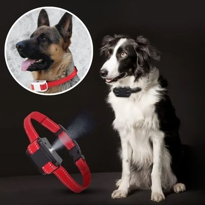 collier-chien-anti-aboiement-educatif