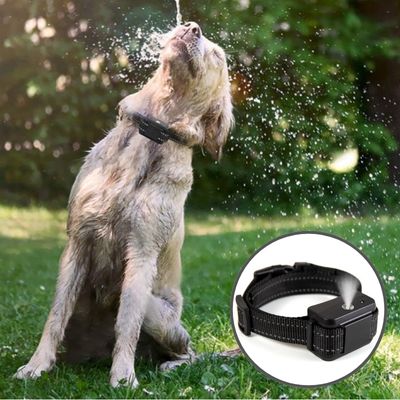 collier-chien-anti-aboiement-inoffensif