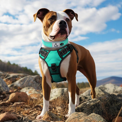 collier-chien-anti-irritation-vert
