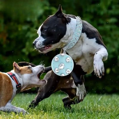 collier-chien-bleu-clou