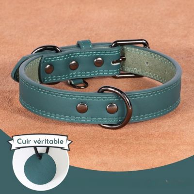collier-chien-cuir-authentique-bleu