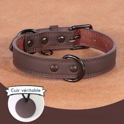 collier-chien-cuir-authentique-brun
