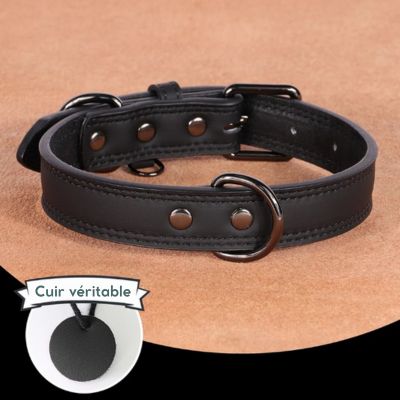collier-chien-cuir-authentique-noir