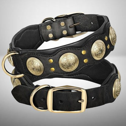 Collier Chien Cuir | Boboydog™