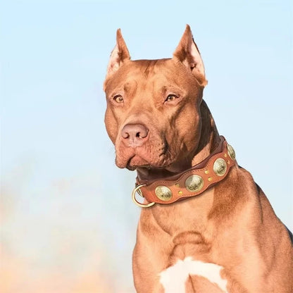 collier-chien-cuir-marron-robuste