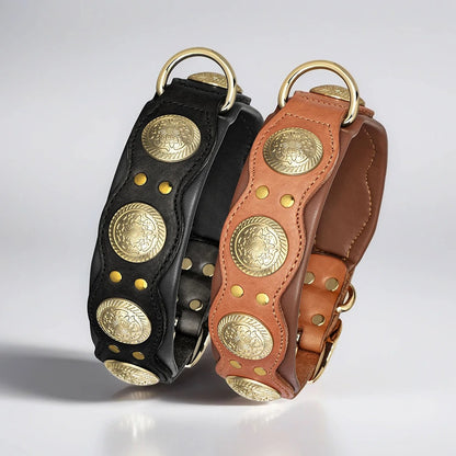 Collier Chien Cuir | Boboydog™