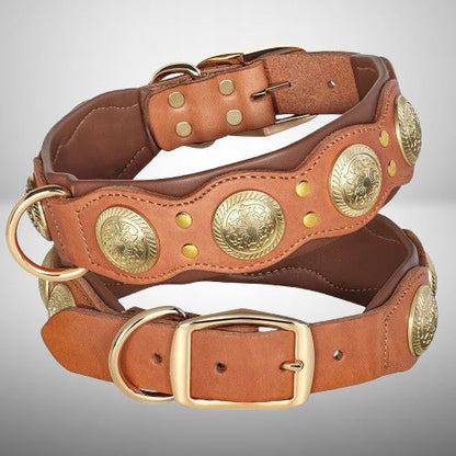 Collier Chien Cuir | Boboydog™