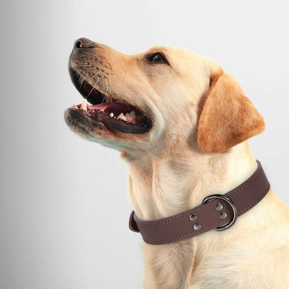 collier-chien-cuir-veritable-marron