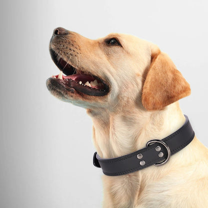collier-chien-cuir-veritable-noir