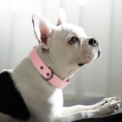 collier-chien-cuir-veritable-rose