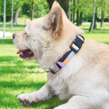 collier-chien-design-couleur-ethnique