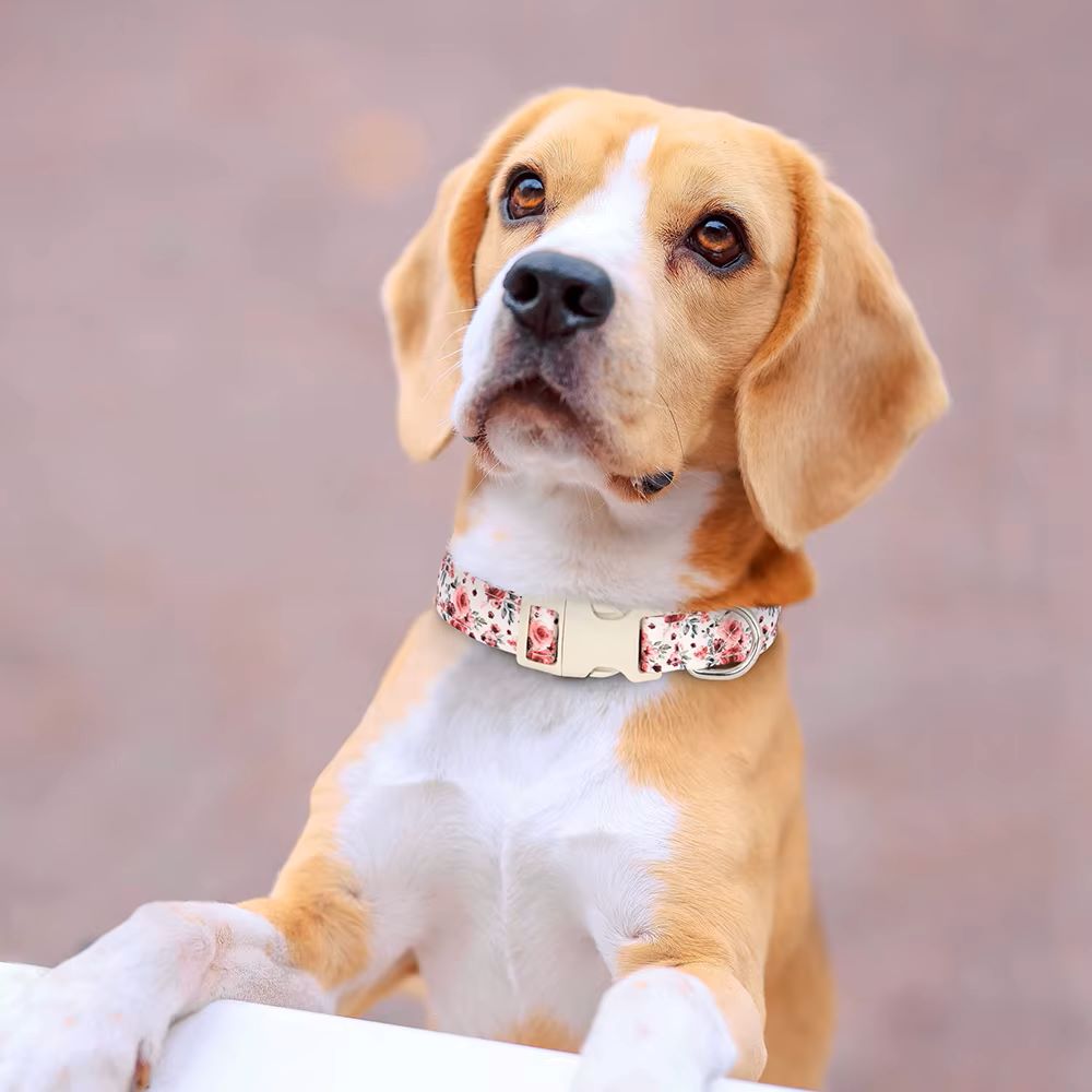 collier-chien-elegant-fleur