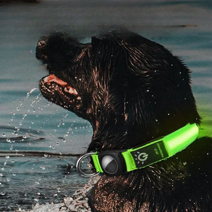 collier-chien-lumineux-airtag-vert