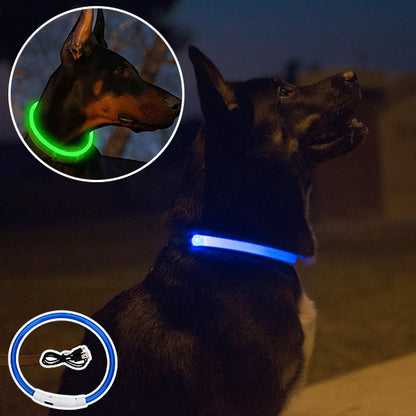 collier-chien-lumineux-bleu