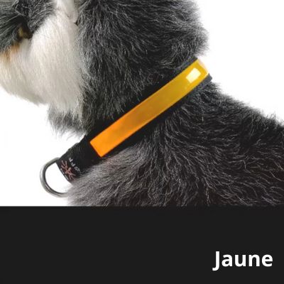 collier-chien-lumineux-couleur-jaune