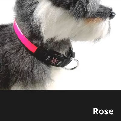 collier-chien-lumineux-couleur-rose