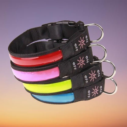 Collier Chien Lumineux | NoctuRelax™