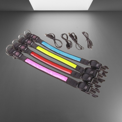 Collier Chien Lumineux | NoctuRelax™