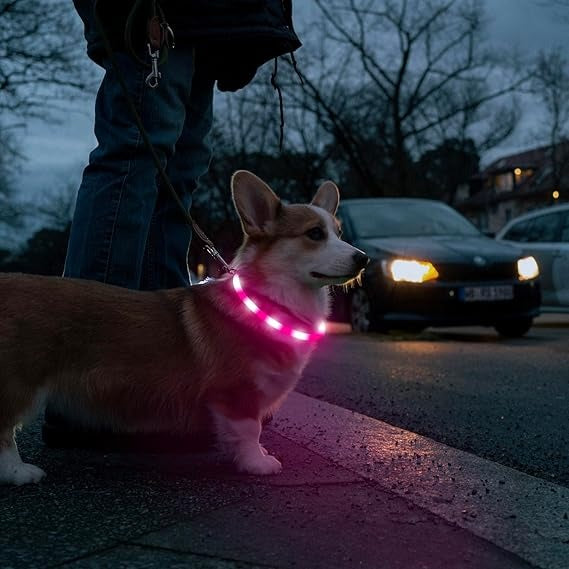 collier-chien-lumineux-rose-securite-ville-lumikool