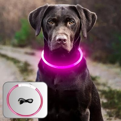 collier-chien-lumineux-rose-securite