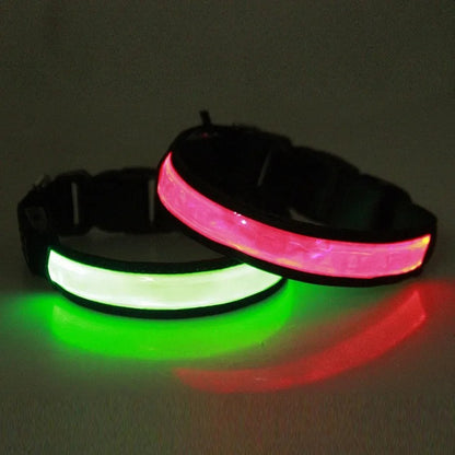 collier-chien-lumineux-rose-vert