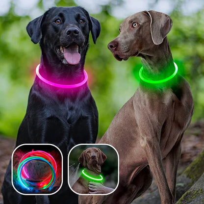 collier-chien-lumineux-rose