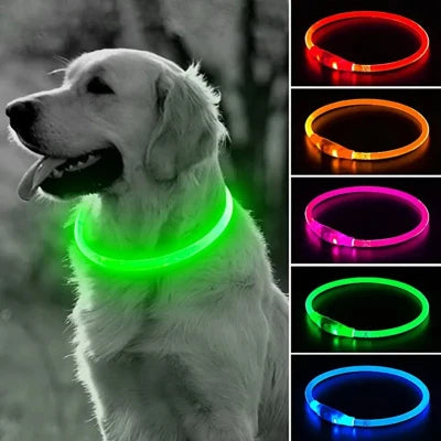collier-chien-lumineux-variantes