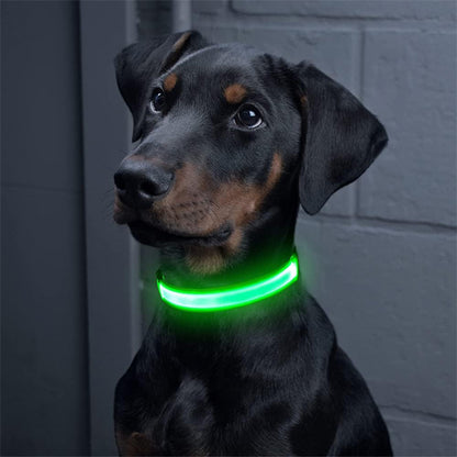 collier-chien-lumineux-vert-securite-nocturne-nocturelax