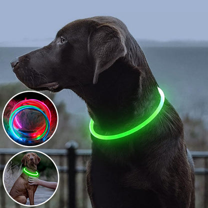 collier-chien-lumineux-vert