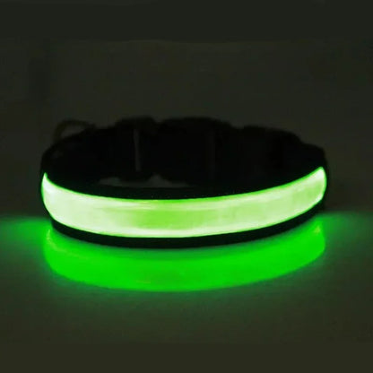 collier-chien-lumineux-vert