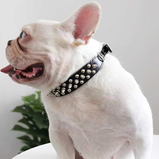 collier-chien-noir-clou-pikicollar