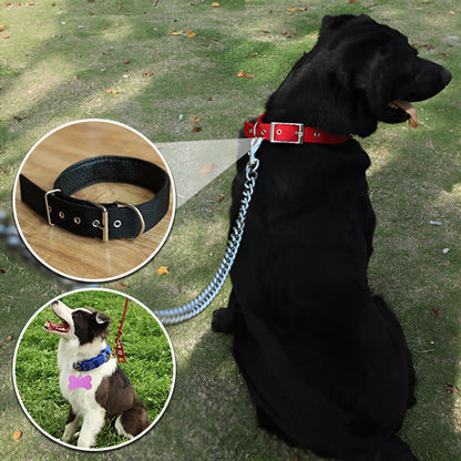Collier chien | FunnyPetCollar™