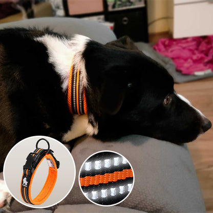 collier-chien-orange-reflechissant