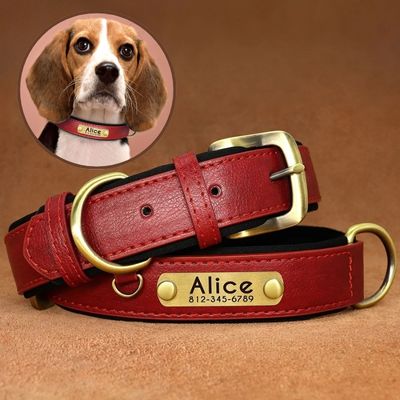 collier-chien-personnalise-alice