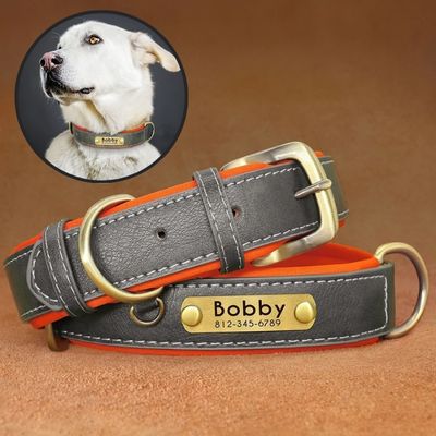 collier-chien-personnalise-bobby