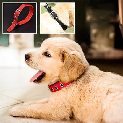 Collier chien | FunnyPetCollar™