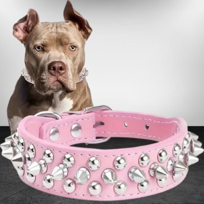 collier-chien-rose-chic