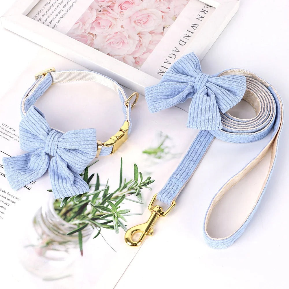 collier-chien-velour-noeud-papillon-bleu