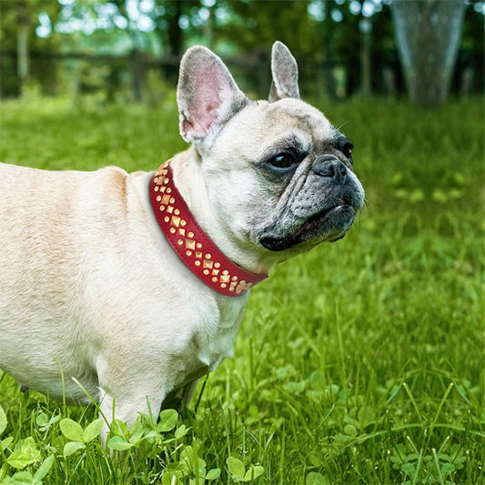 collier-cuir-chien-cloute-robuste-rouge-bobistyl