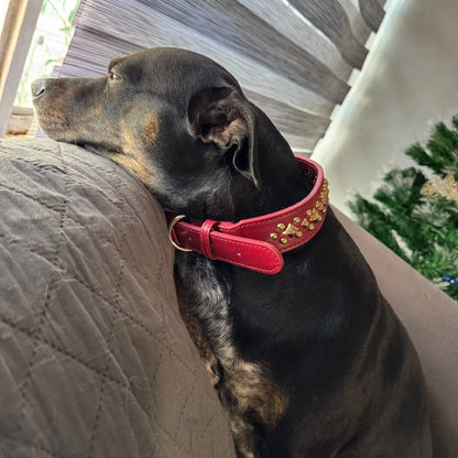 collier-cuir-chien-cloute-robuste-rouge-style-punk-bobistyl