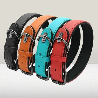 collier-cuir-chien-couleurs