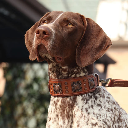 collier-cuir-chien-designe-marron-elegant