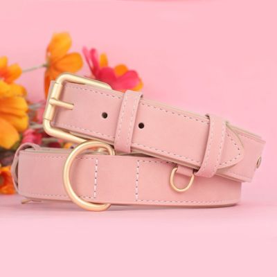 Collier cuir chien | Cuir & Crocs