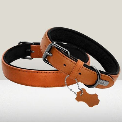 collier-cuir-chien-marron-clair